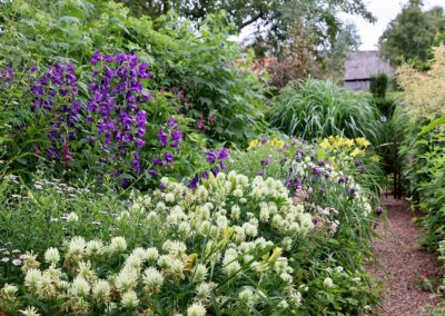 Willemsoord – Hof aan de Reune