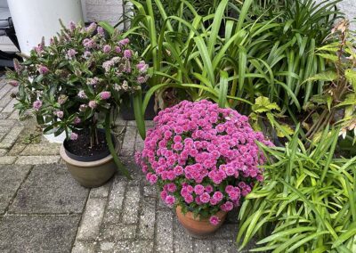 Leek – Uilenborg II