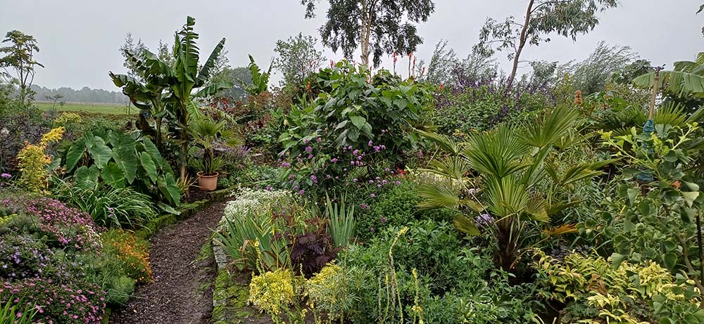 Elim – Hobbykwekerij Het Kleine Veldje