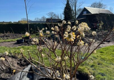 Wijster – Labirint Tuin