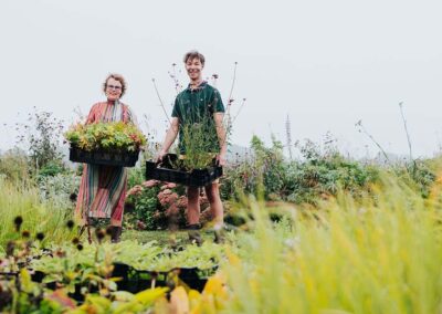 Gees – Miss Tuinboon