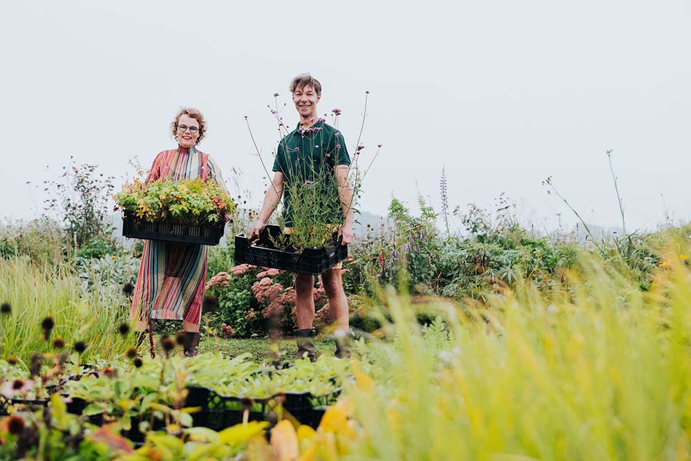 Gees – Miss Tuinboon