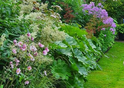 Foxwolde – Wieky en Marius Vroom