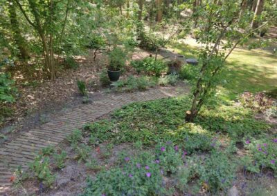 Ruinen – Rijk van Omme