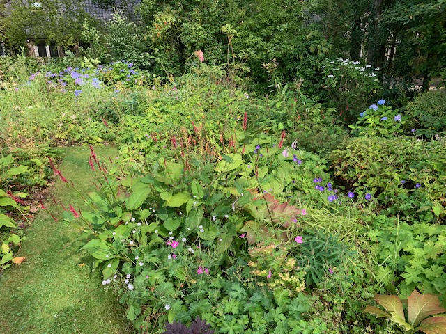 IJhorst – Rieverster natuurtuin