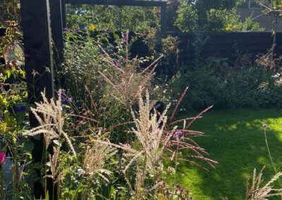 Meppel – Bienie en Wim Sagel