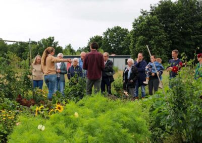 Ruinen – De Braamsluiper