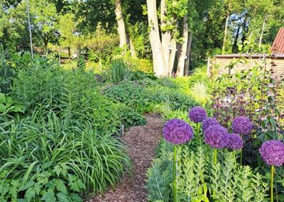 Oosterhesselen – Dennis Lodder