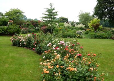 Laar – Familie Kruit